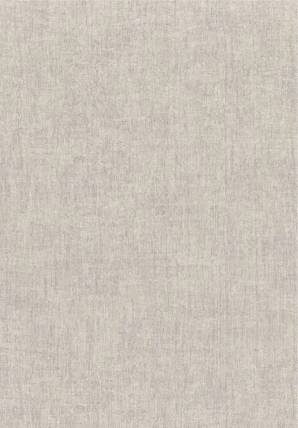 Diola 75150304 Gris cendre