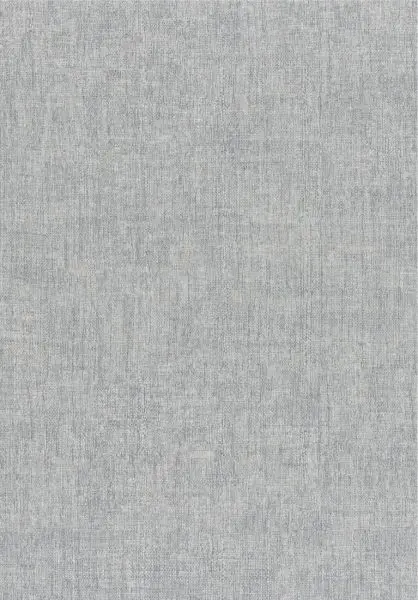 Diola 75150712 Acier