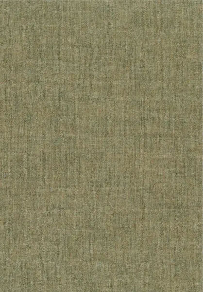Diola 75152038 Kaki