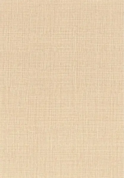 Sierra 76702242 Coquille