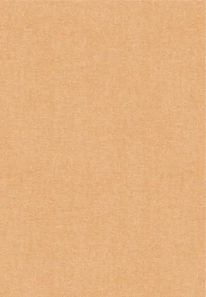 Lin 78049 Pépite