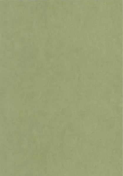 Gardens Cotton touch 82387512 Vert cactus