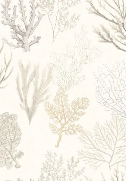Corail 83971120 Beige