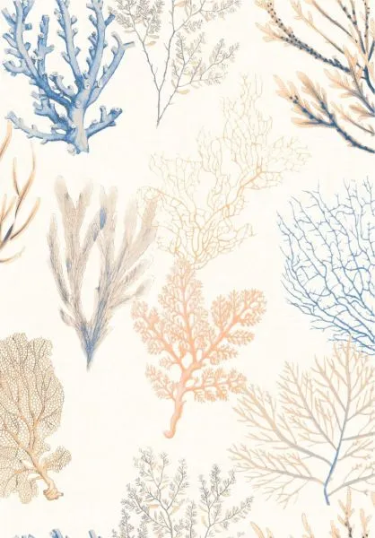Corail 83976202 Bleu