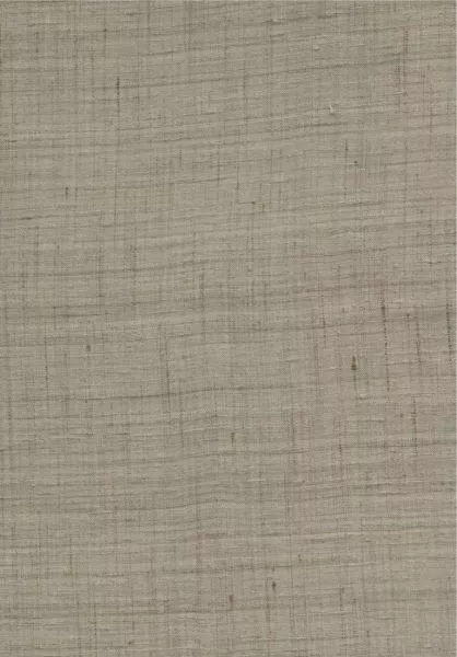 Ghicha Silk 86542 Dove Grey