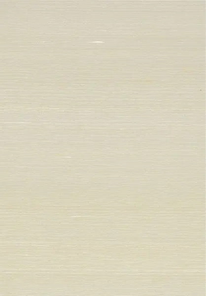 Dupion 87205 Beach