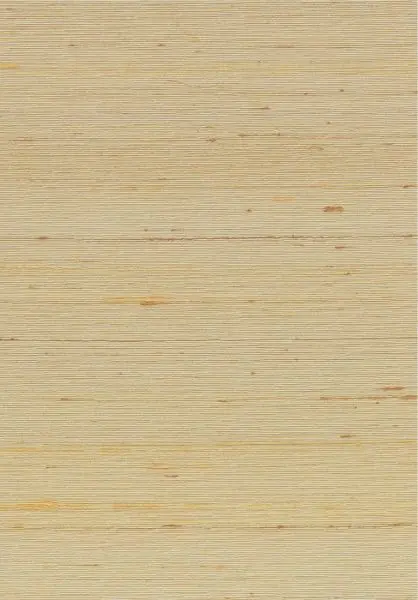Kami Dupion 87206