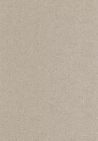 Empreinte 88701622 Taupe