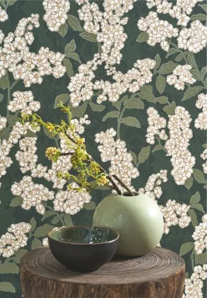 Kyoto Ume 88737796 Vert matcha