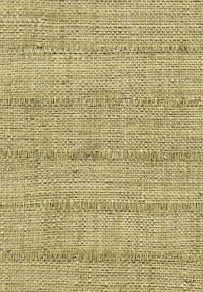 Robinson RM901 91