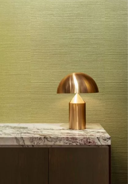 Agave 90531 Olive