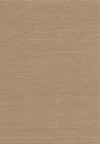 Agave 90539 Nude
