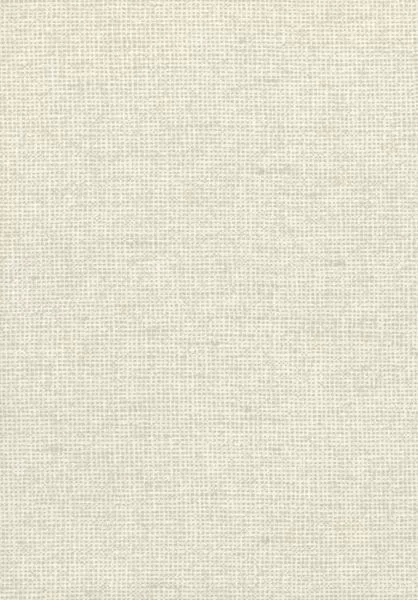 Essentials Chanderi 91500 Pillow