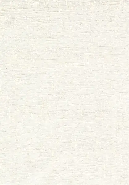 Étamine 29256 Pillow
