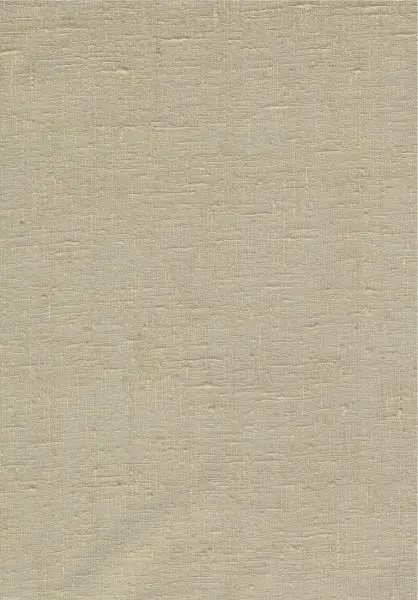 Étamine 29257 Clay