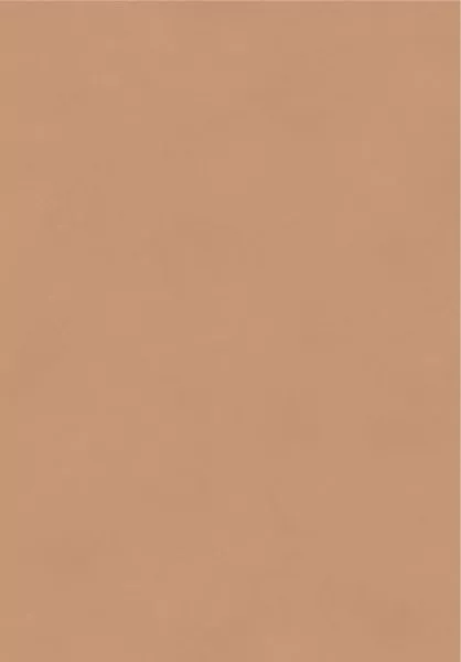 Color Camel BLONE1014