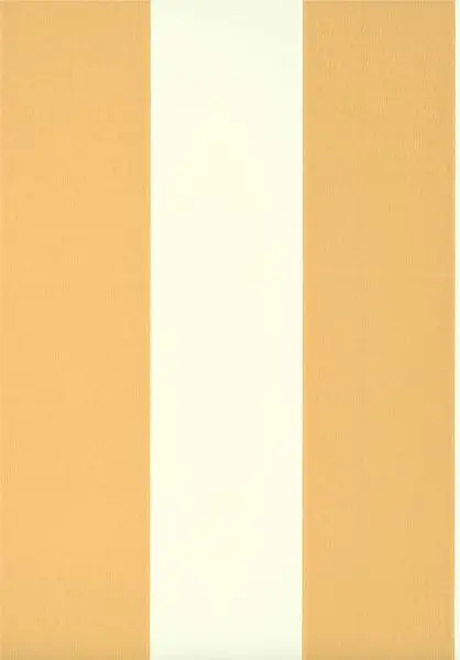 Broad Stripe - Yellow Pink