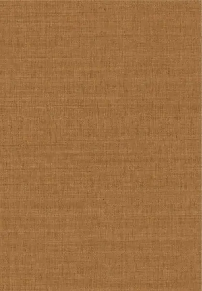 Sora 70172956 Ambre