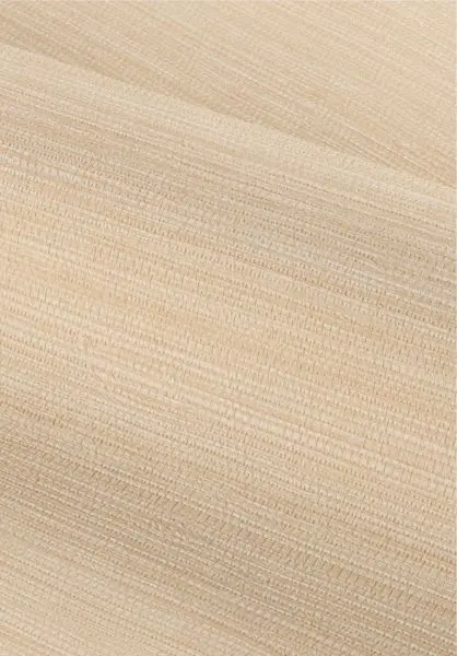 Safra 78212344 Coquille
