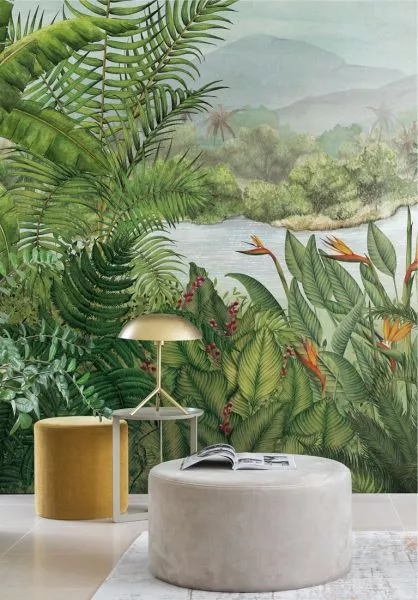 Rainforest DG3RAI103 Bloom
