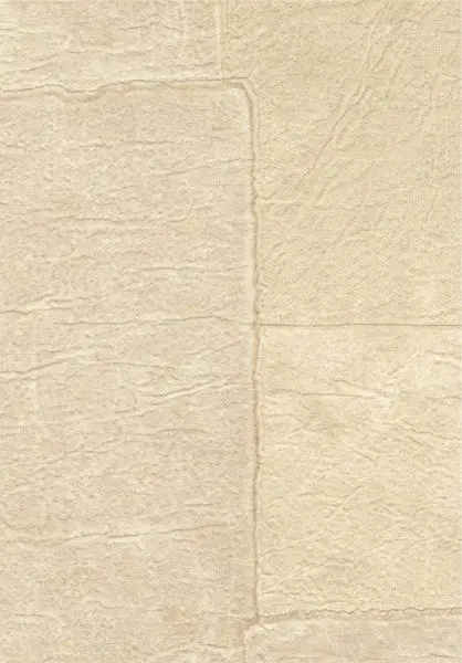Sangpi VP1018 06