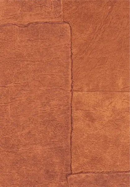 Sangpi VP1018 35