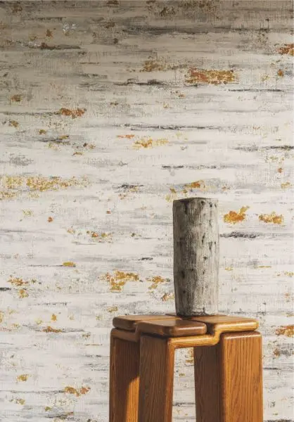 Scorza VP1030 01