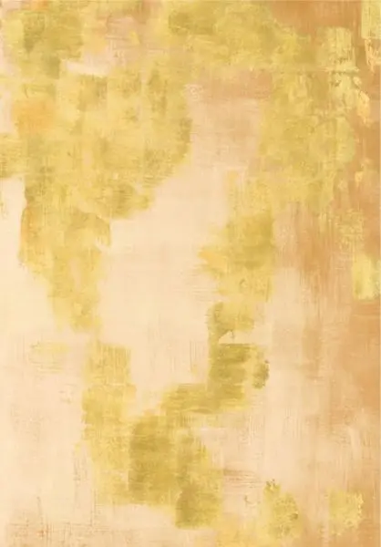 Topkapi VP1053 02