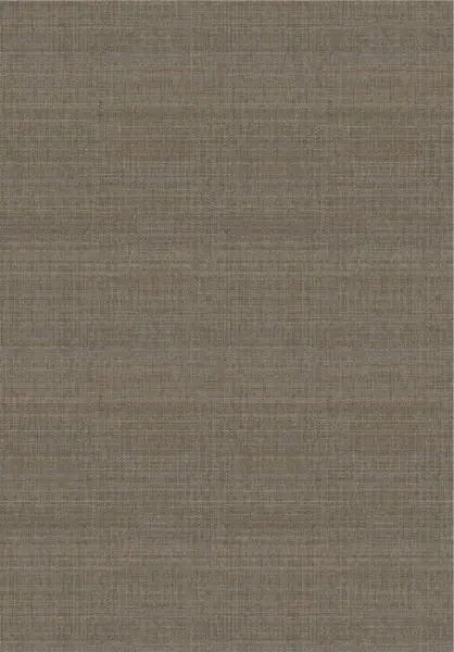 Raffia II VP1048 80