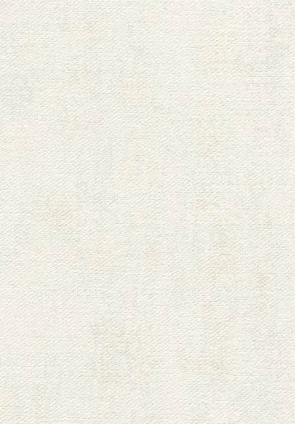 Toile VP1057 02