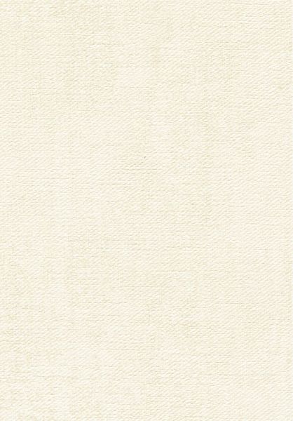 Toile VP1057 03