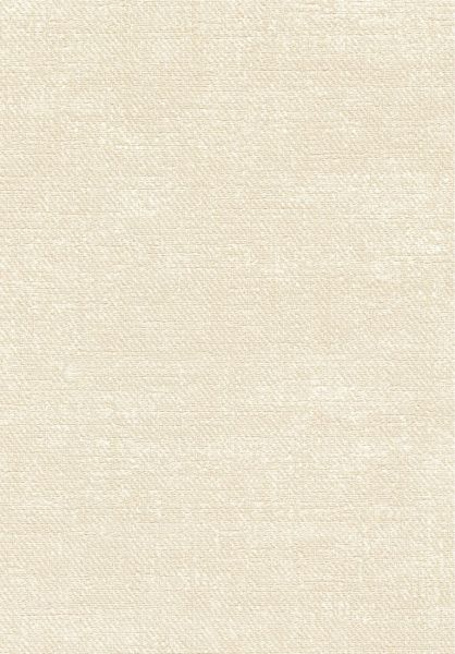Toile VP1057 05