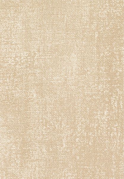 Toile VP1057 06