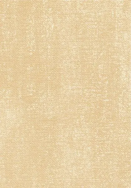 Toile VP1057 12