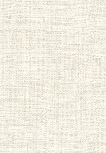 Madagascar VP731 83