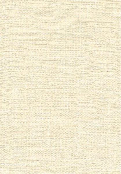 Madagascar VP731 85