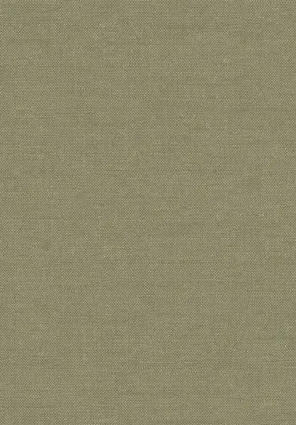 Lux Kaki FOL901