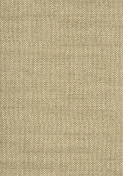 Dixie Pampas GAT604