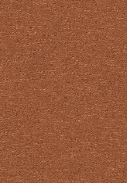 Telis Bronze JOY312