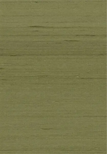 Mandya 35409 Olive