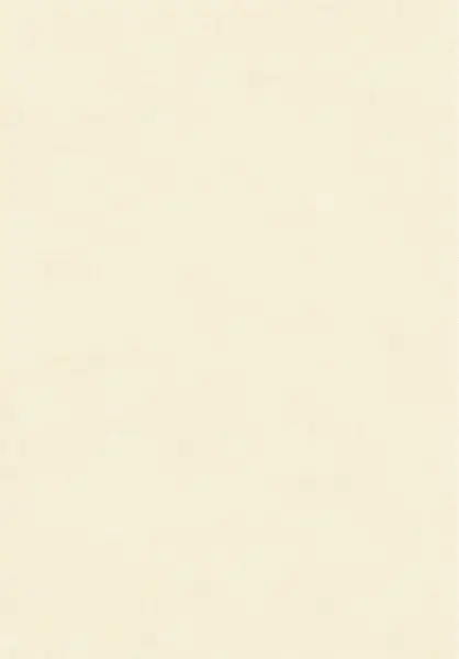 Sunny Beige PRO304