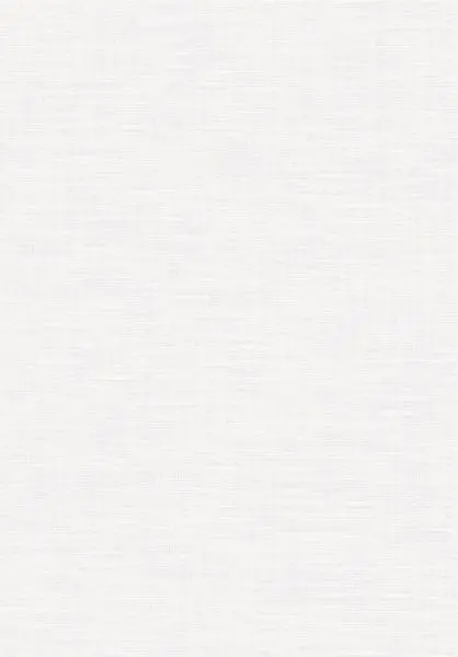 Grafic Silver PRO402