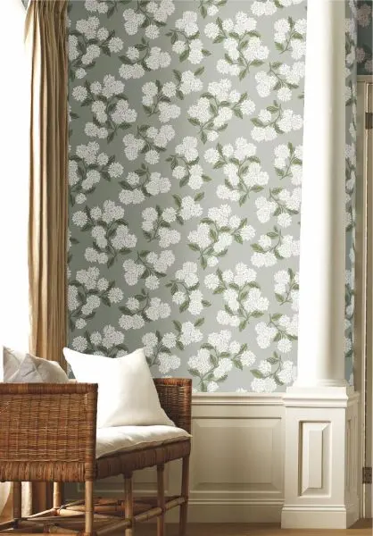 Hydrangea RI5144 Grey