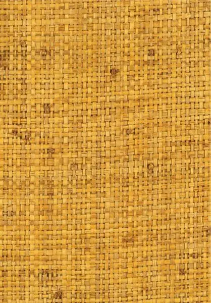 Cesteria RM1017 21 Les fibres du plaisir
