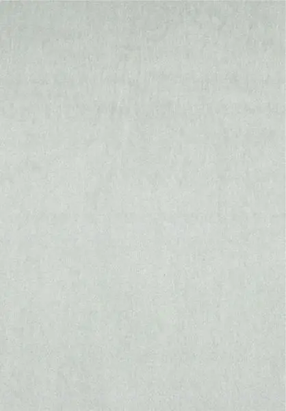 Parthénon RM1045 40