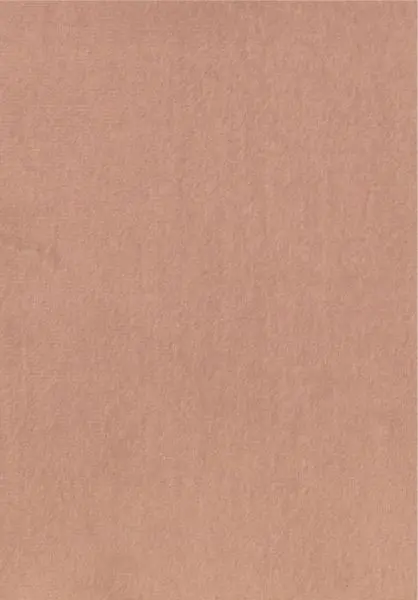 Parthénon RM1045 51
