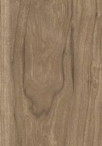 Essences de bois RM423 15