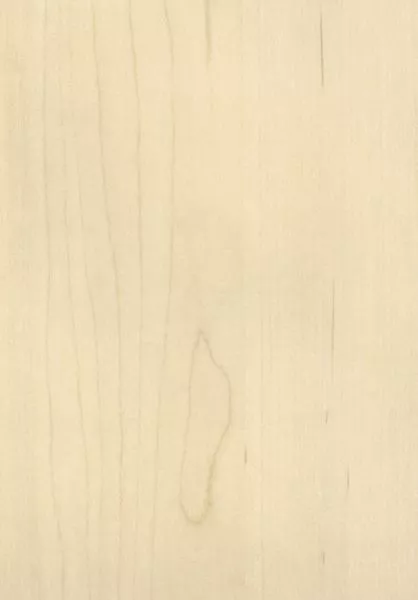 Essences de bois RM427 01