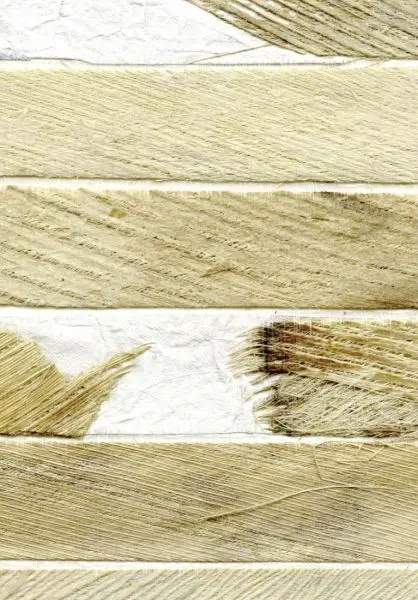 Océania Tobor RM674 01