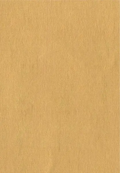Vega RM613 91